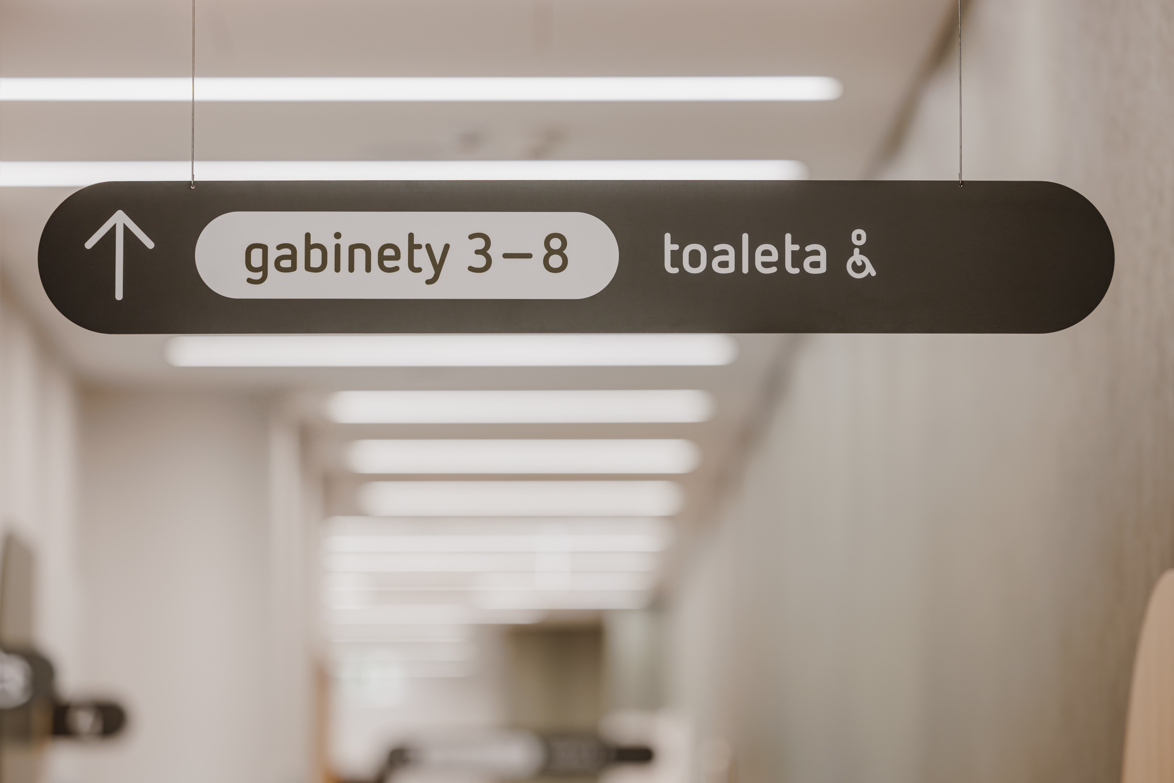 LUX MED new wayfinding standard hanging carrier